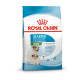 Royal Canin Mini Starter Mother & BabyDog – Hrană Uscată pentru Cățele Gestante și Pui de Talie Mică, 8 kg